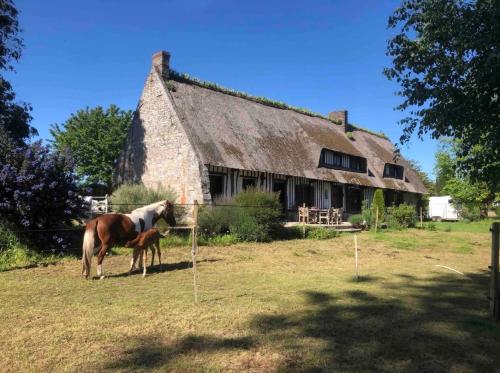 Chaumière authentique gîte à louer Saint-Pierre-le-Viger