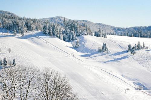 Holiday flat Todtnauberg - DMG10100e-CYA - image 6