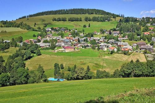 Holiday flat Todtnauberg - DMG10100e-CYA - image 11