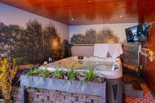 Drents Genieten - Dopheide met privé jacuzzi en sauna