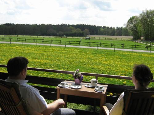 Erkély/terasz, Land-gut-Hotel Landhaus Heidehof in Clenze