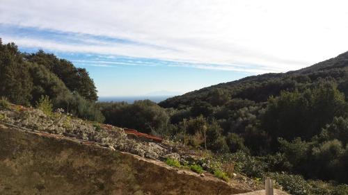 MAISON DANS LE CAP CORSE