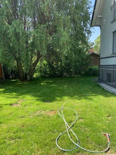 Fewo mit Garten, Kamin u. Whirlpool, Berlino (foto 4)