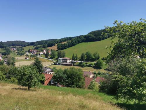 Hotel Landgasthof Grüner Baum - image 6