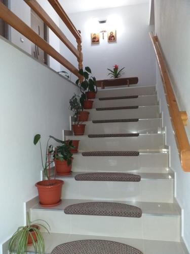 Cabana La Cucu - image 4