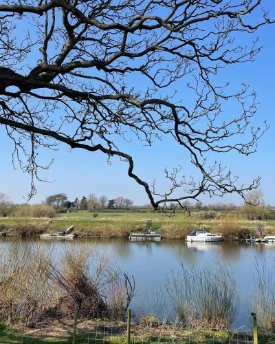 The Hut by the River