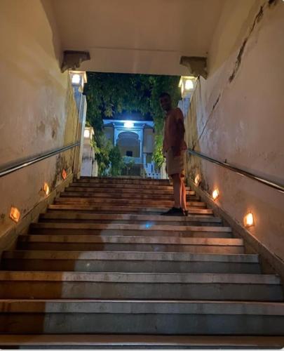 Bassi Fort Palace photo