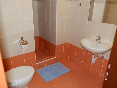Hotel Gól Prostějov - image 11