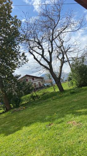 MAISON AMORAINA