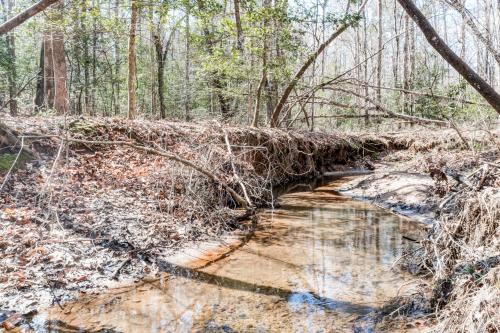 Wooded Wonder Wooded Wonder