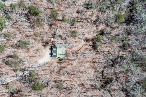 Wooded Wonder Wooded Wonder