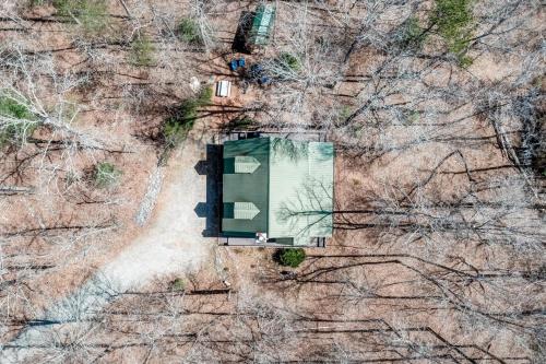 Wooded Wonder Wooded Wonder