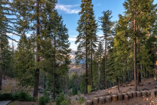 Yosemite Aviary - 5BR/4BA Holiday Home - image 12