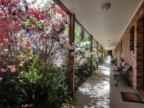Eildon Parkview Motor Inn Room 6 in Eildon