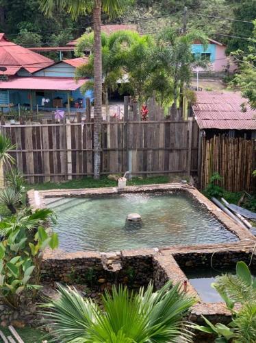 Piscina, RIVERSIDE PALM INN SG LEMBING in Sungai Lembing