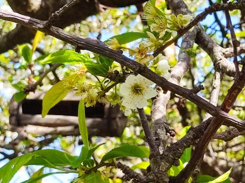 Appartamento nel parco