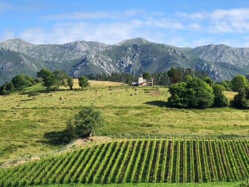  Asturias Estancias Naturales. Finca San Julian. in Arriondas