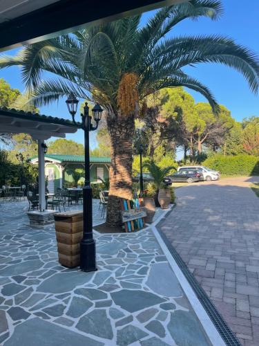 Diaporos Hotel - image 12