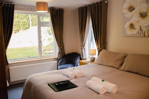 Silverlands Guest House - image 10