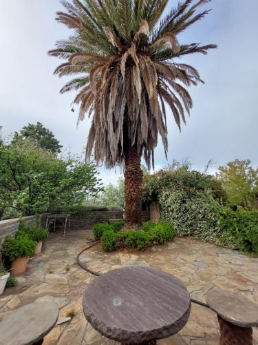 Iekārtas, Three Sons Guest Farm in Loxton