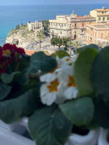 Sapore Di Sale Accommodation Tropea