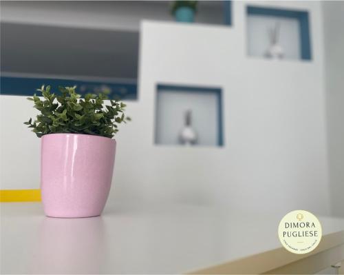 Dimora Pugliese Room Type - Apartment