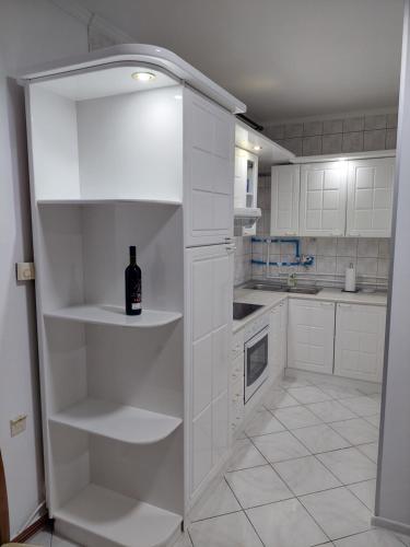 Apartman Stasija in Banja Koviljaca