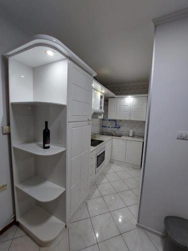 Apartman Stasija in Banja Koviljaca