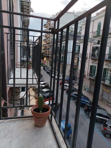 Amuri Siculo, Casa Vacanze Palermo centro, Palermo (fotografie 7)