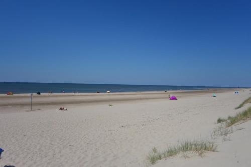 Quetzal in Schoorl met Bregtdorp