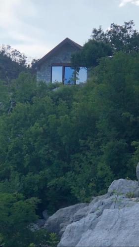 house on the hill, Cetinje (fotografie 9)