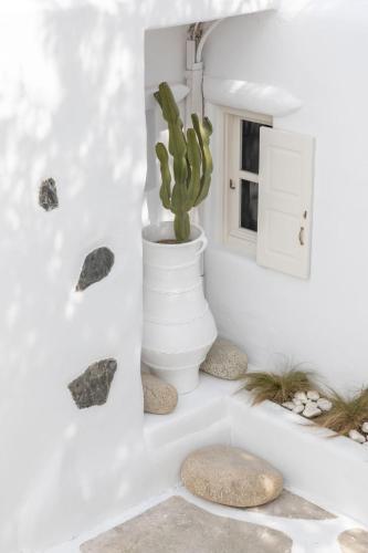 Cassaris Mykonos Cassaris Mykonos