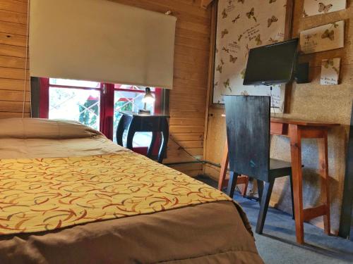 Standard Single Room image 2
