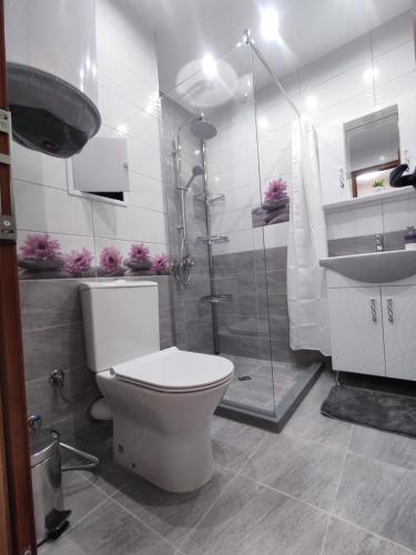 Mountain view apartment, Sofia (photo 4)