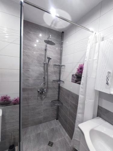 Mountain view apartment, Sofia (photo 7)