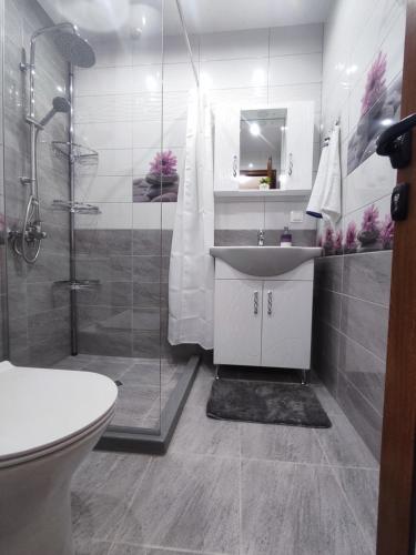 Mountain view apartment, Sofia (photo 6)