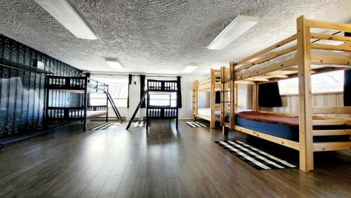 Bunk Bed in Mixed Dormitory Room