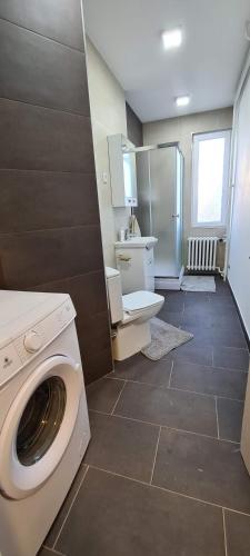 One-Bedroom Apartment image 10