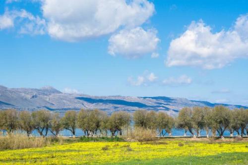  Beauty Villa Irene, Coast 60m in Tavronítis