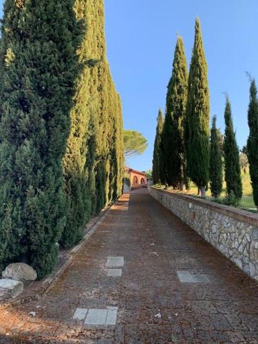 Maison Cipressi gîte à louer Riparbella