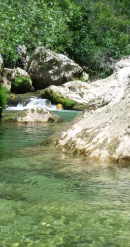 La Salamandre en Provence