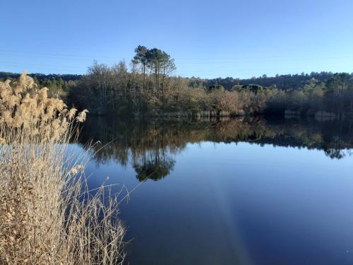 La Salamandre en Provence – Saint-Paul-en-Forêt, ID