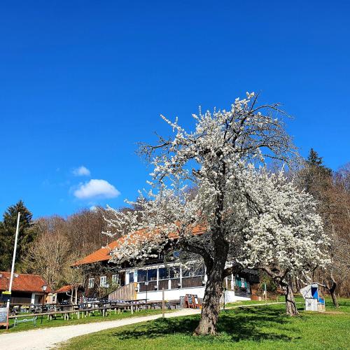 Schatzbergalm Pension