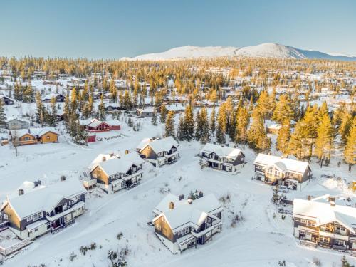 Nice apartment with Sauna and ski in out Trysil in Trysil