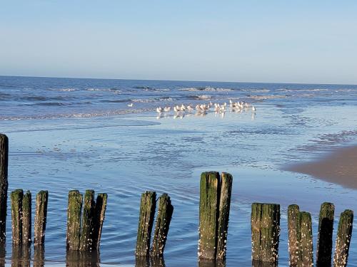 Beach, pension canberra near Uitzichtpunt de Kerf