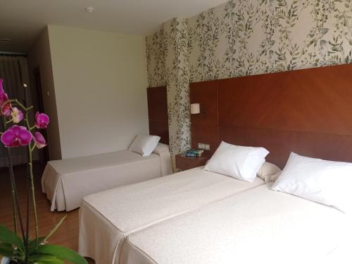 Triple Room with Private Bathroom