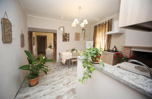 sacrobosco apartment Castagno - Apartment - Mugnano