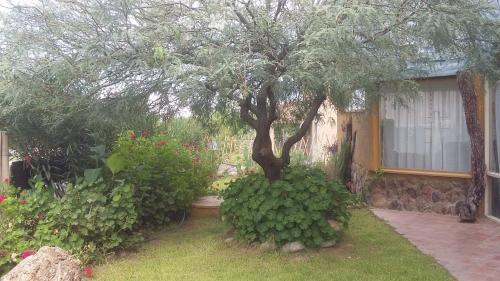 Cabañas Cafayate II