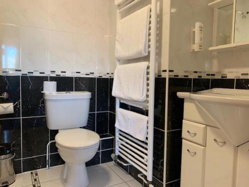 Springfield Country Hotel Leisure Club & Spa - image 8