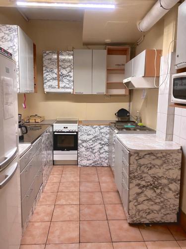 Kitchen, Arkadia Hotel & Hostel in Rajakylä